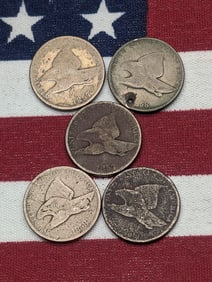 5 Low Grade Flying Eagle Cents.