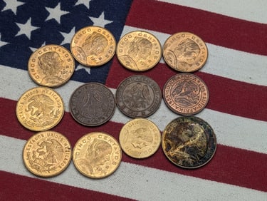 (12) Mixed Foreign Coins
