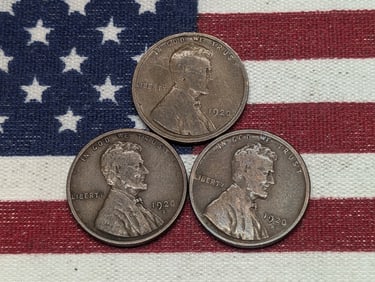 1920, 1920 D and 1920 S :Lincoln Penny, Brown