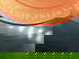 item-211069120=5
