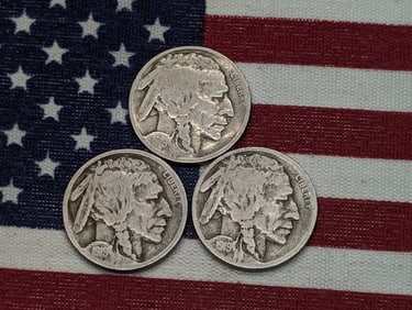 1919-PDS Semi-Key Date Buffalo Nickels.  3 Coins.