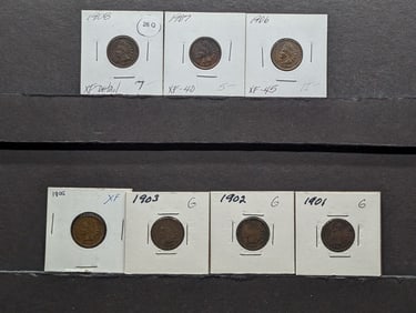 (7) Indian Head Cents 1901-1908