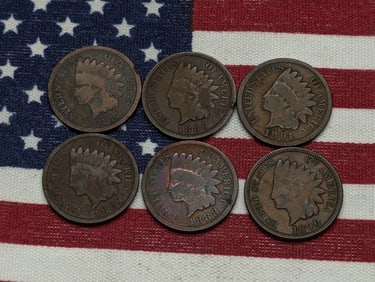 1886, 1887, 1888, 1889,1890, & 1891 Indian Head Cents.