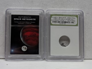 Authentic Campo del Cielo Argentina Meteor Shower & Meteorite Space Rock (2 PCS)