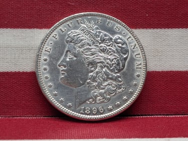 1896 Morgan Silver Dollar