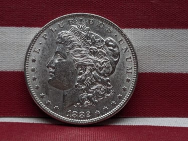 1882 Morgan Silver Dollar
