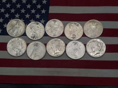 (10) 1923 Peace Dollars