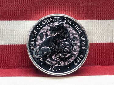 2023 Bull Of Clarence 2 oz. 999.9 Fine Silver, 5 Pounds