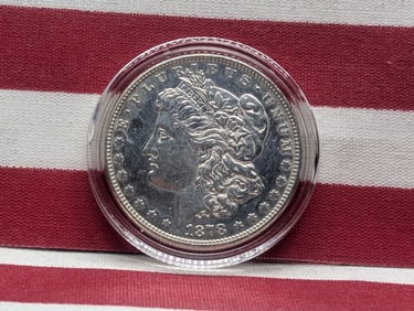 1878 Eight TF, Rev 78 Morgan $1 Light wear.