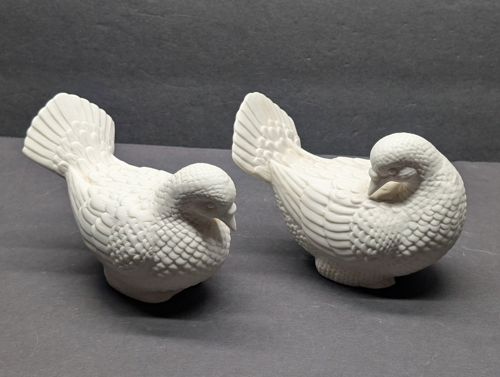Pair Of White Doves: Pair Of White Doves