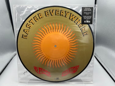 SEALED - 13th Floor Elevators: Easter Everywhere - Picture Disc (2001), reissue, Italy pressing, in