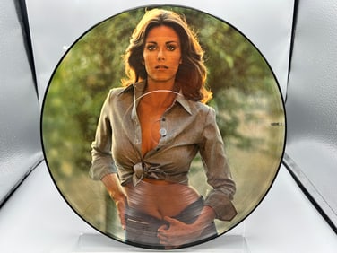 Lynda Carter: Portrait - Picture Disc (1978), in clear polyvinyl envelope sleeve