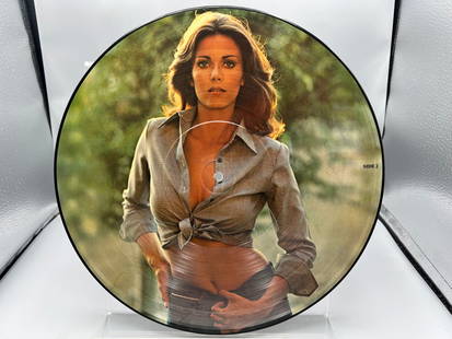 Lynda Carter: Portrait - Picture Disc (1978), in clear polyvinyl envelope sleeve: Lynda Carter: Portrait - Picture Disc (1978), in clear polyvinyl envelope sleeve - Records have not been tested by the auction house for play quality. All items are sold as is.