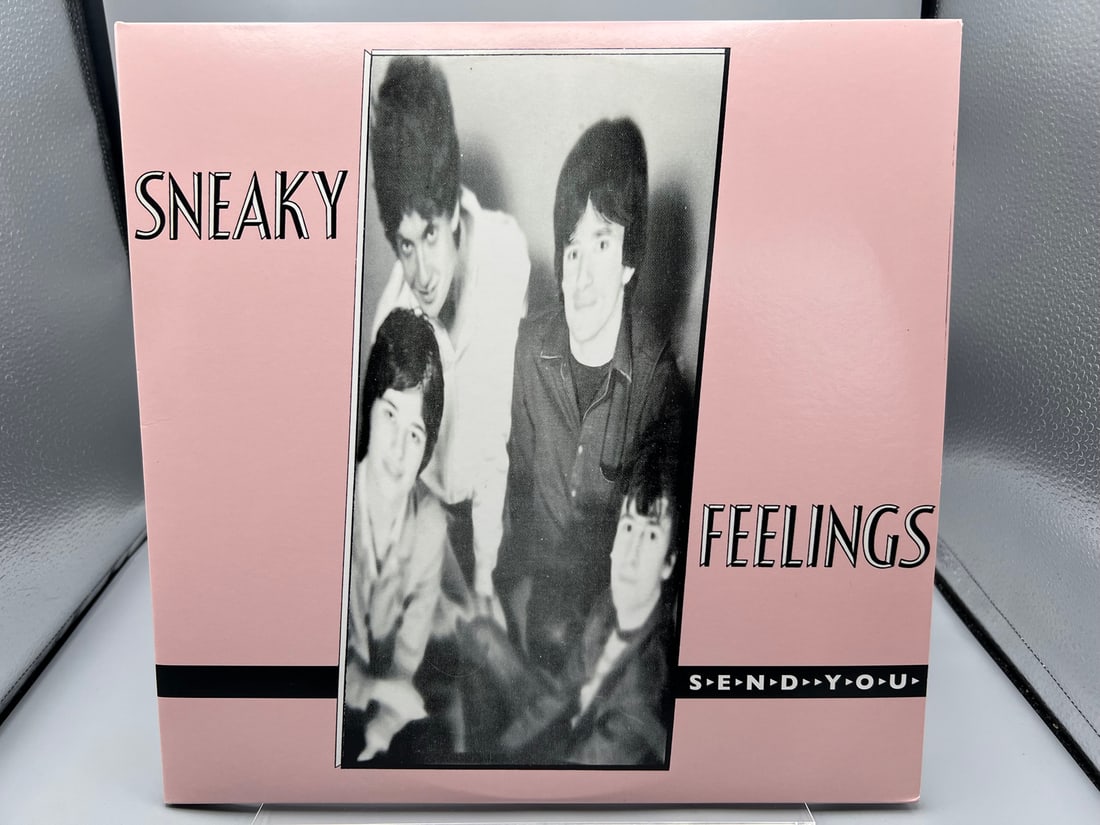 Sneaky Feelings: Send You (2015), reissue, remastered, gatefold, 2 LPs: Sneaky Feelings: Send You (2015), reissue, remastered, gatefold, 2 LPs - Records have not been tested by the auction house for play quality. All items are sold as is.