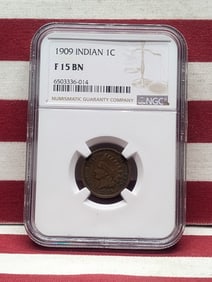 1909 Indian Head Cent - NGC FINE 15 BN