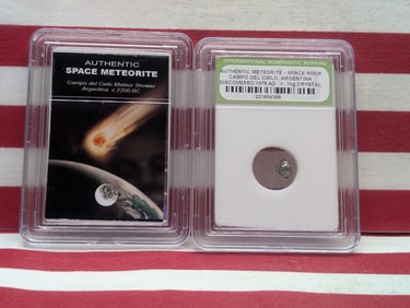 Authentic Campo del Cielo Argentina Meteor Shower & Meteorite Space Rock (2 PCS)