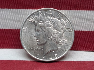 1 Very Nice Silver 1923-P Peace Dollar In MS