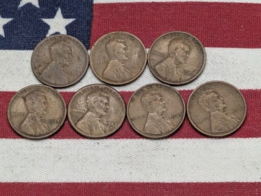 (7) Lincoln Wheat Cents 1920,1925-S, 1918-D, 1925, 1923, 1927, 1929