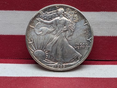 1989 American Silver Eagle