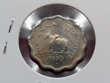 1950 India, B443, One Anna, Lion Capital of Asoka, Indian humped bull (zebu), Scalloped edge