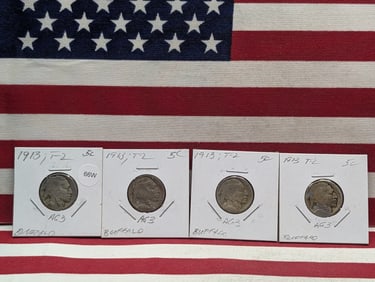 (4) 1913 Buffalo Nickels  Type 2