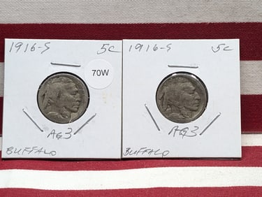 (2) 1916-S Buffalo Nickels