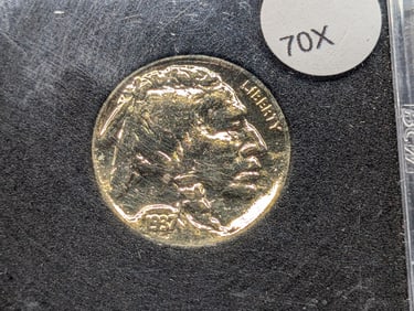 1937-D Gold Plated Buffalo Nickel