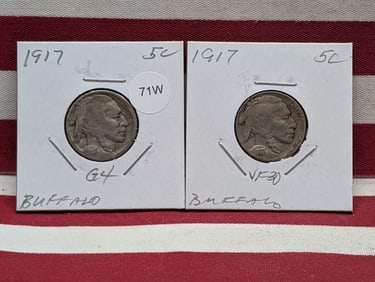 (2) 1917 Buffalo Nickels