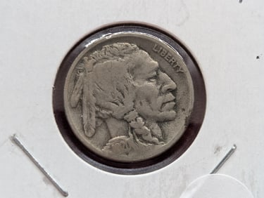 1920-D Buffalo Nickel - F