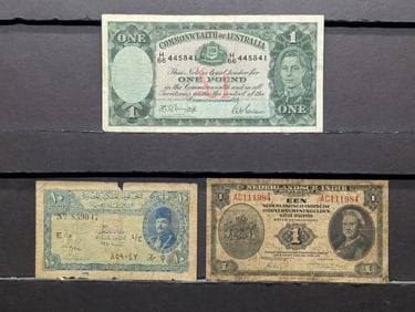 (3) Assorted Foreign Currency Notes