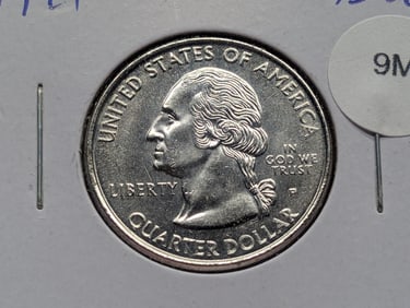 1999-P Platinum Layered Pennsylvania State Quarter