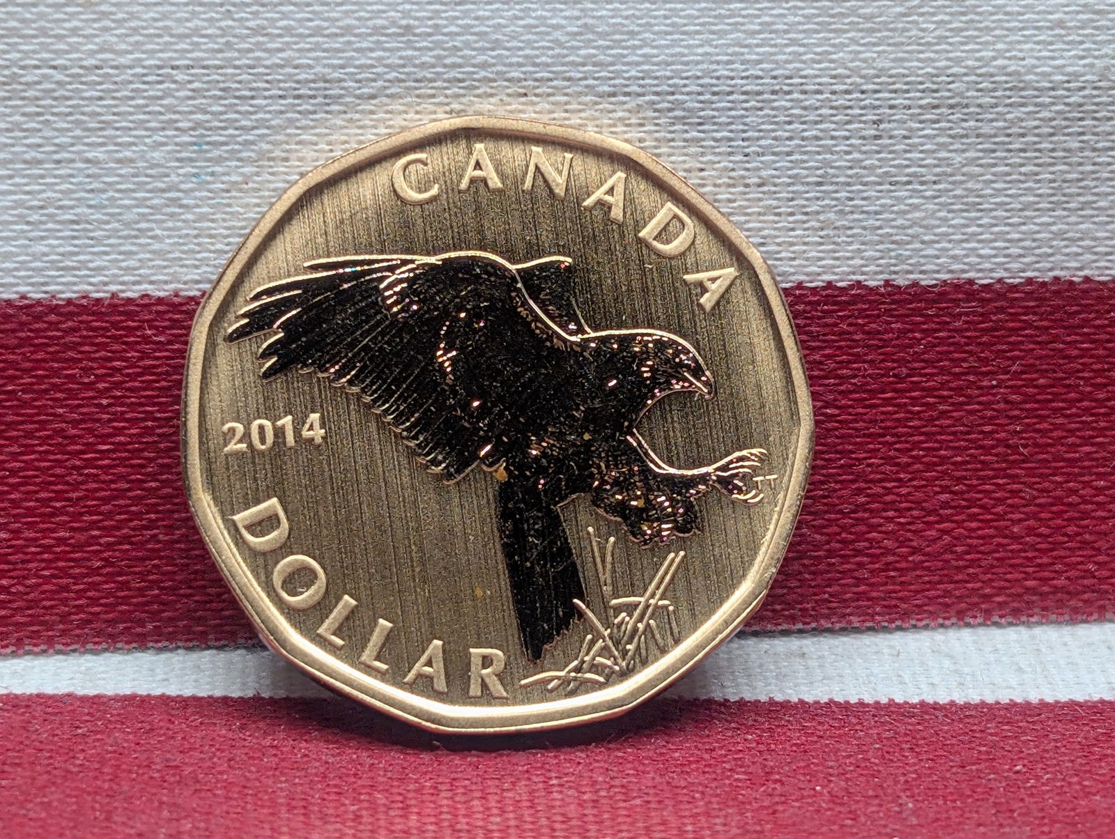 2014 Canadian Dollar Reverse Proof From Specimen Set (1 of 2)