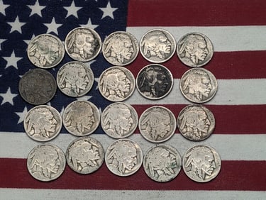 (20) Mixed Date Buffalo Nickels