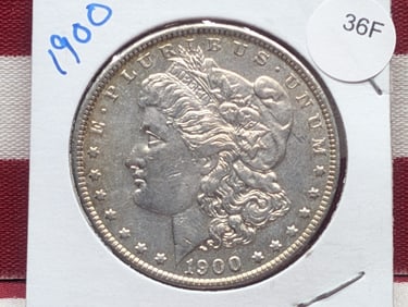 1900 Morgan Dollar