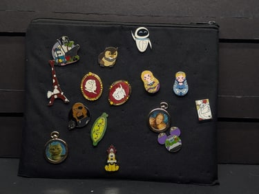 14 Disney Pins, $8-12 Each at Disneyland, Including Holder