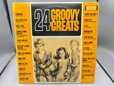 1965 Various Artist Compilation 24 Groovy Greats Vinyl Album - HLP 714