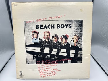 1972 The Beach Boys Wow! Great Concert Reissue Vinyl Album - SPC-3309