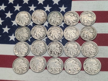 (20 ) Mixed Date Buffalo Nickels