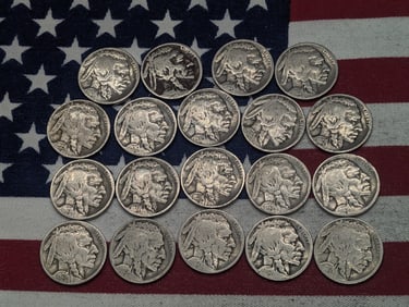 (19) Mixed Date Buffalo Nickels