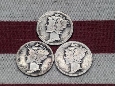 (3) Mercury Dimes 1920 P, D,S