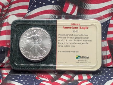 2002 American Silver Eagle In Plastic Case