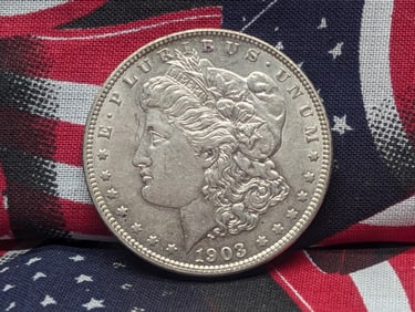 1903 Morgan Dollar