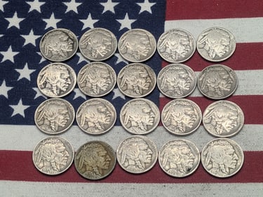 (20) Mixed Date Buffalo Nickels