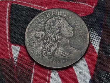 1802 Draped Bust Large Cent w/Stems, VG Details - Scratched on Reverse
