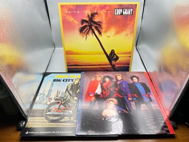 Lot of (3) Assorted Vinyl Albums - Varying Conditions