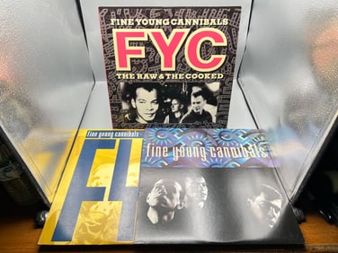 Lot of (3) Fine Young Cannibals Vinyl Albums - Varying Conditions