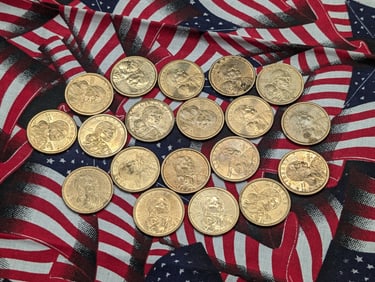 (19) Mixed Date Sacagawea One Dollars