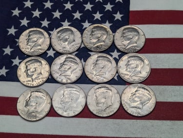 (12) Mixed Date Kennedy Half Dollars