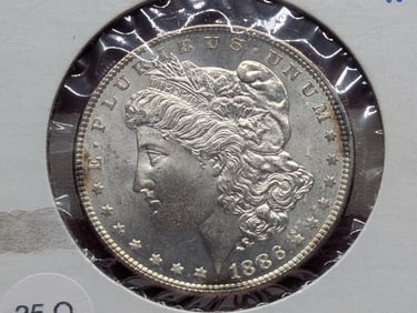 1886 Morgan Dollar