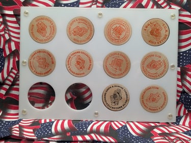 Collection Of 10 Wooden Dollars In Custom Holder.